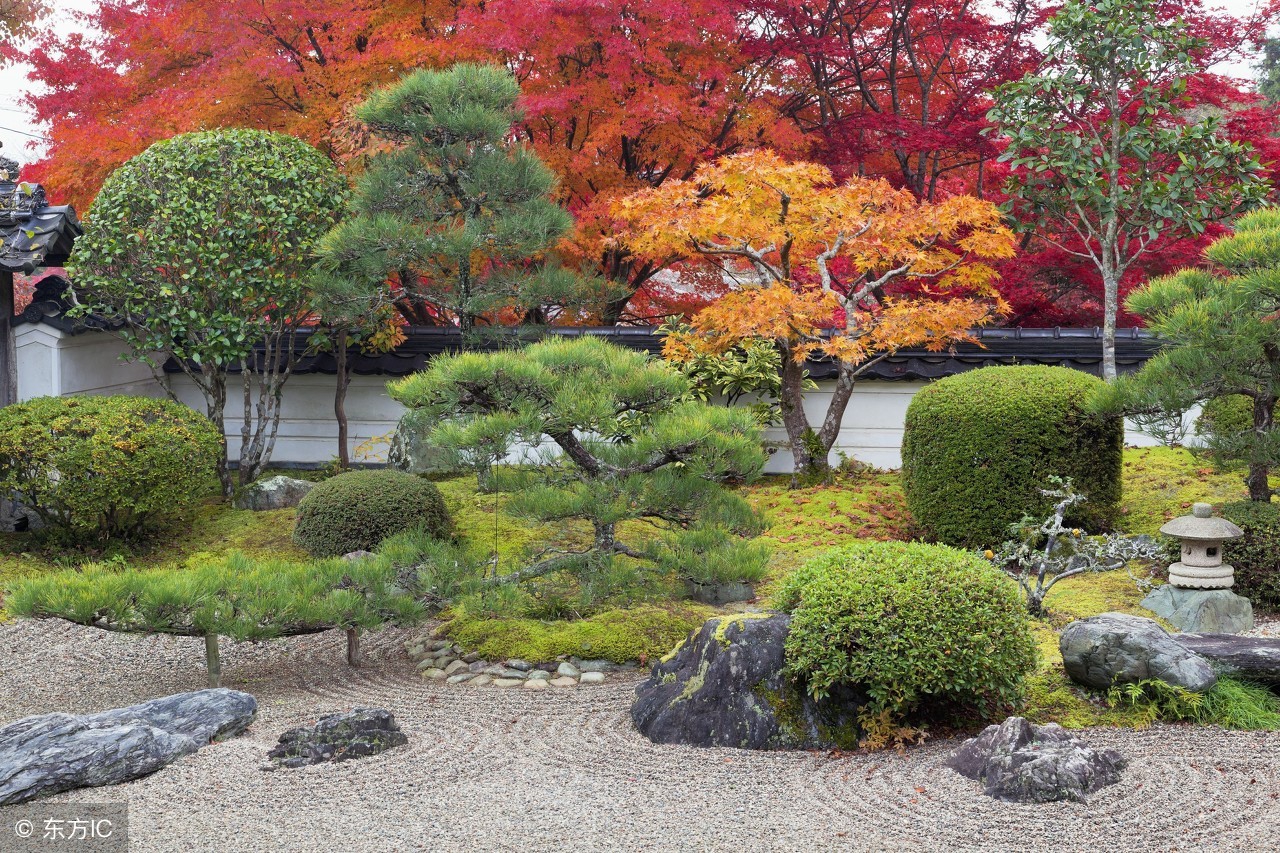 日本旅游攻略镰仓在哪,日本镰仓旅游攻略学生