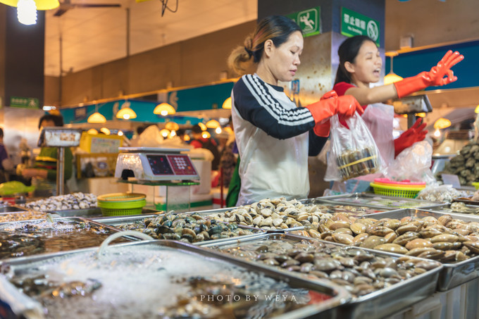 面面旅拍—诉不完千古泪，道不停三亚情，这个冬天我们掌心有太阳