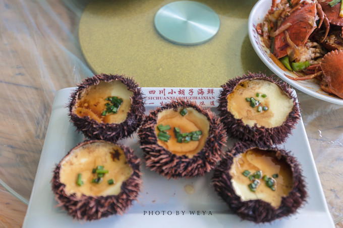 面面旅拍—诉不完千古泪，道不停三亚情，这个冬天我们掌心有太阳