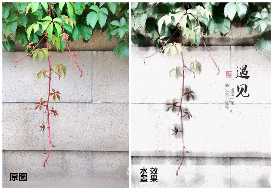 作图设计手机app,免费手机制作特效软件