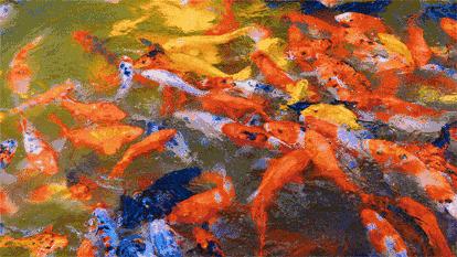 婀栧崡娴忛槼瀹樻浮搴欎細,娴忛槼瀹樻浮瑙傞煶搴欎細