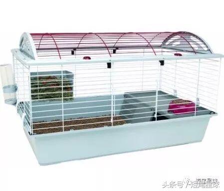 兔兔需要买多大的兔笼,兔兔的专用兔笼