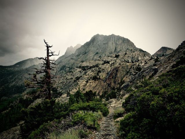 二年级在野外迷路了怎么辨别方向,野外迷路后我们通过什么辨别方向