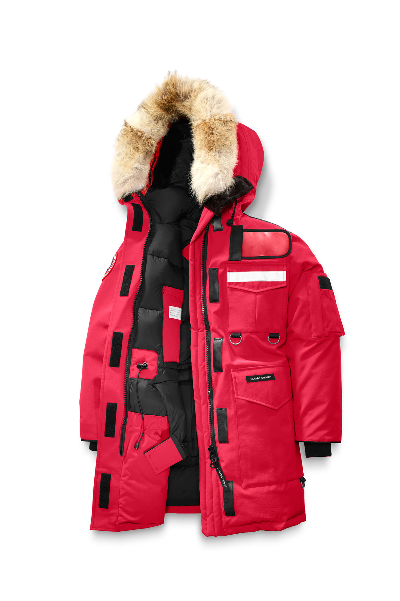 你轻易就买到的加拿大鹅，一定是假货