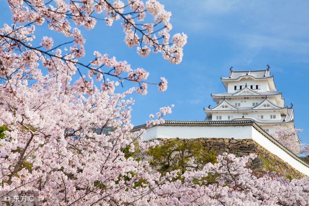 个体户怎么申请日本留学,日本留学经费支付人怎么办