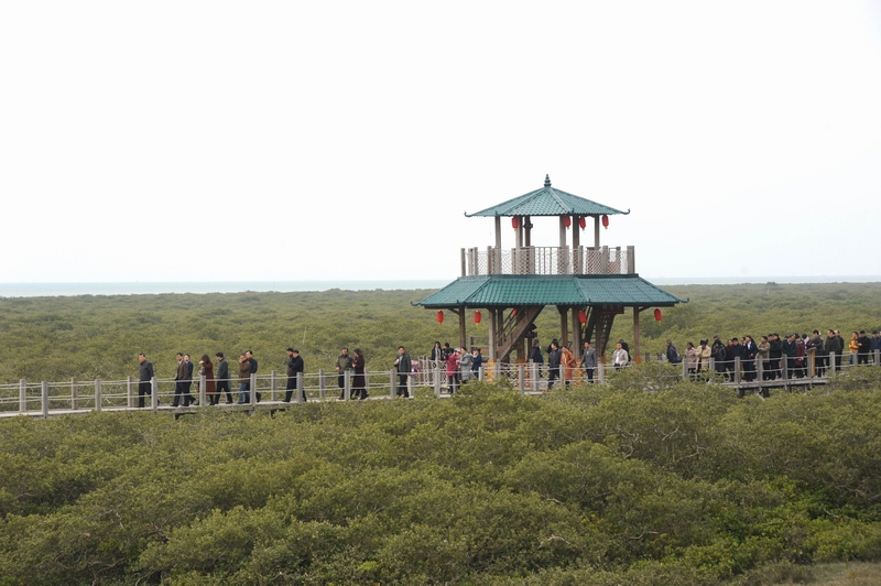 广西旅游工作会议,广西全区农村工作会议