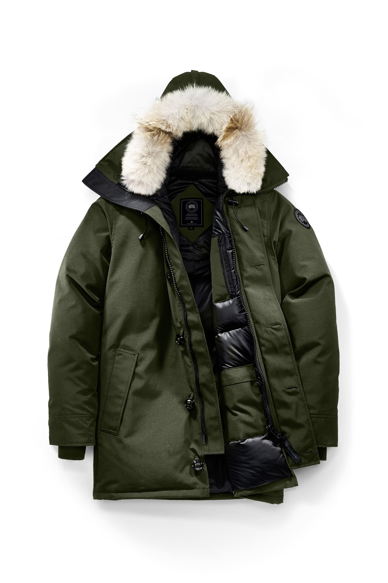 你轻易就买到的加拿大鹅，一定是假货