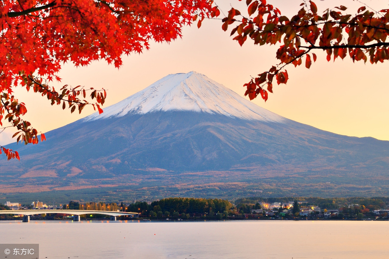 个体户怎么申请日本留学,日本留学经费支付人怎么办