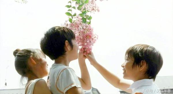 得到都是侥幸失去才是人生歌词,得到的都是侥幸歌词