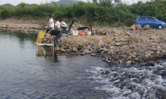 滑口鱼怎么钓效果最好,滑口鱼用什么饵料最好钓
