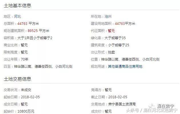 一锤定音拍卖,一锤定音拍卖会视频