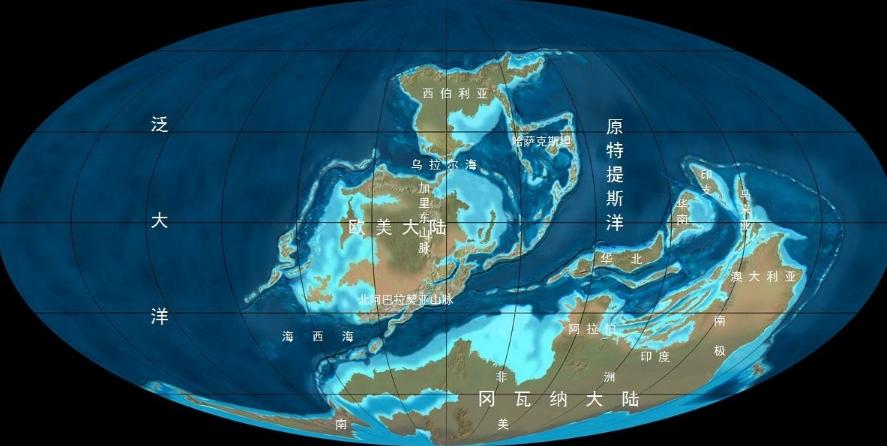 为什么石炭纪那么大,石炭纪煤炭