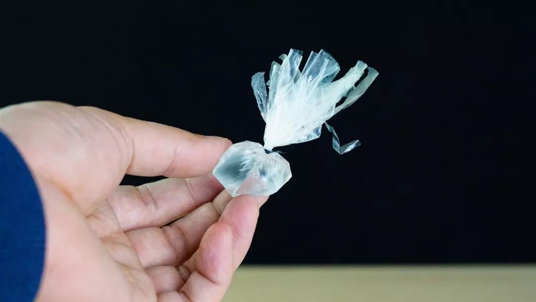 深海里那些神秘又梦幻的水母,深海里的蓝色水母