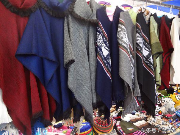 中国神兽羊驼,羊驼为什么能成为中国神兽