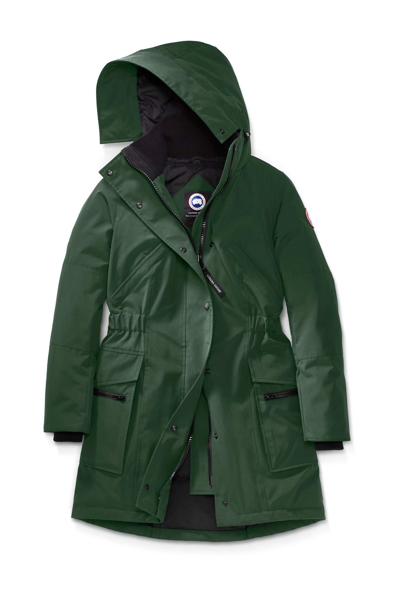 你轻易就买到的加拿大鹅，一定是假货