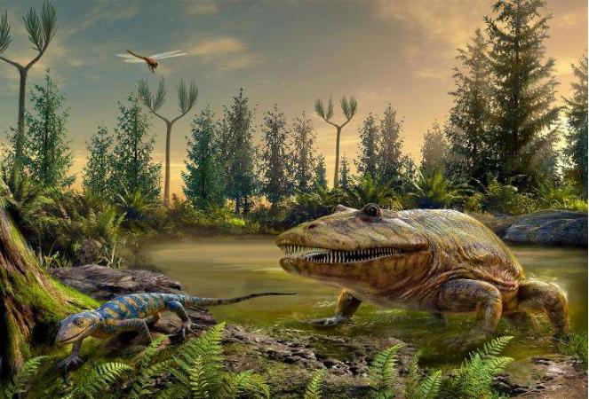 为什么石炭纪那么大,石炭纪煤炭