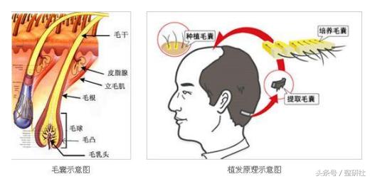 医美助力逆转修复,医美可以抵抗断崖式衰老吗