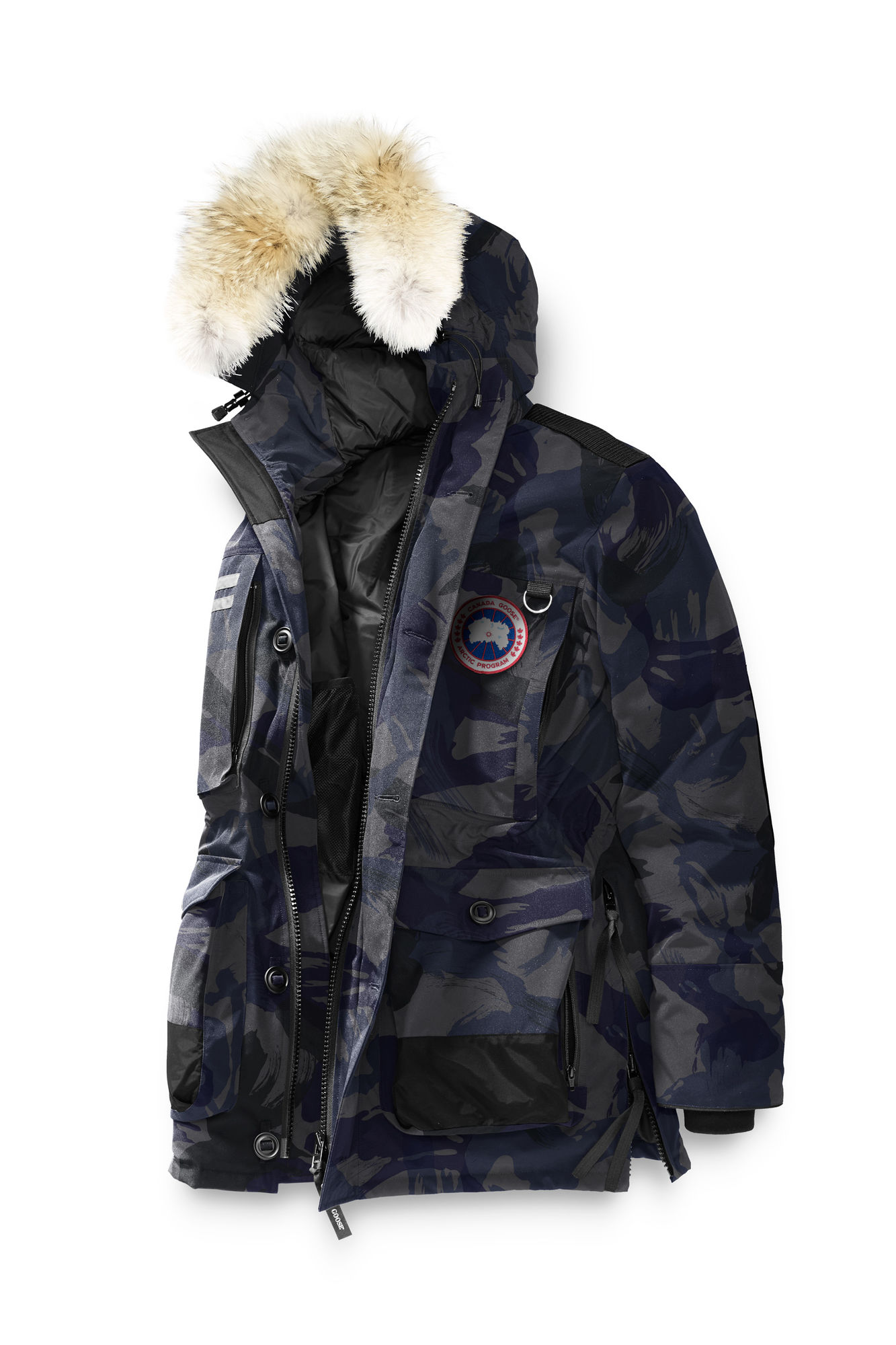 你轻易就买到的加拿大鹅，一定是假货