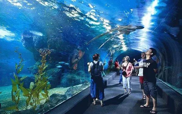 泰国曼谷亲子游攻略视频,泰国曼谷亲子游行程