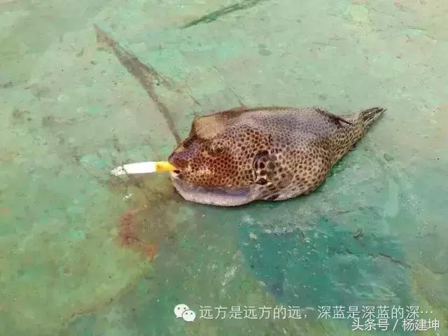 这就是船员，一年又一年，一天又一天，船上的年