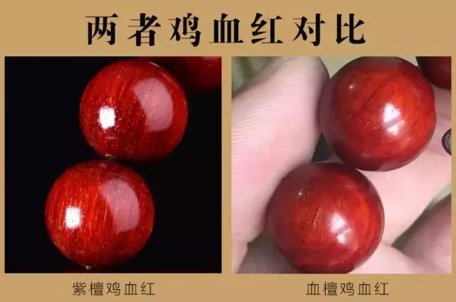 赞比亚血檀和印度小叶紫檀纹理,血檀和小叶紫檀手串对比图