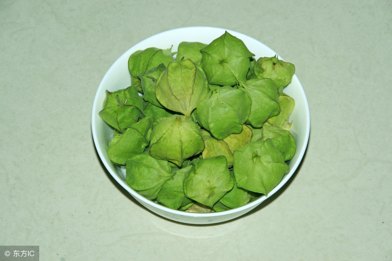 灯笼果一亩能产量多少斤,灯笼果是种什么地方的