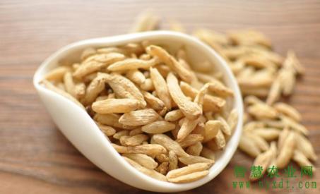 麦冬病虫害防治工作方案,麦冬虫害用什么药