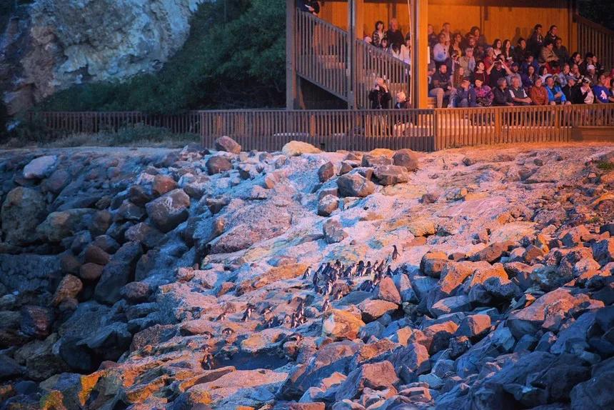 可以媲美欧洲的自驾游地区,十大适合自驾游的国家