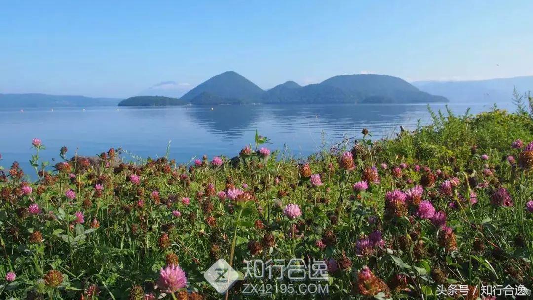 马拉松北海道,北海道马拉松
