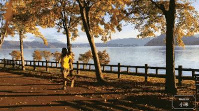 马拉松北海道,北海道马拉松