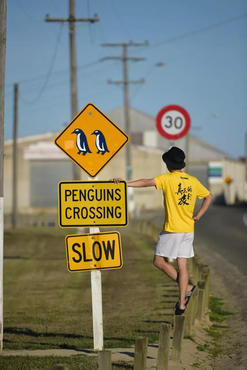可以媲美欧洲的自驾游地区,十大适合自驾游的国家