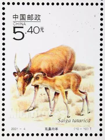 虽然千金难求，但羚羊角的药效可能还比不上布洛芬