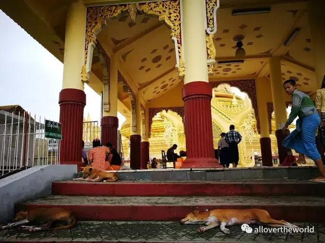 独行于缅甸，一瞥这众神国度