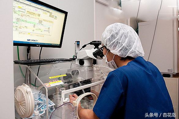 女性怎样避免卵巢早衰,女性避免早衰