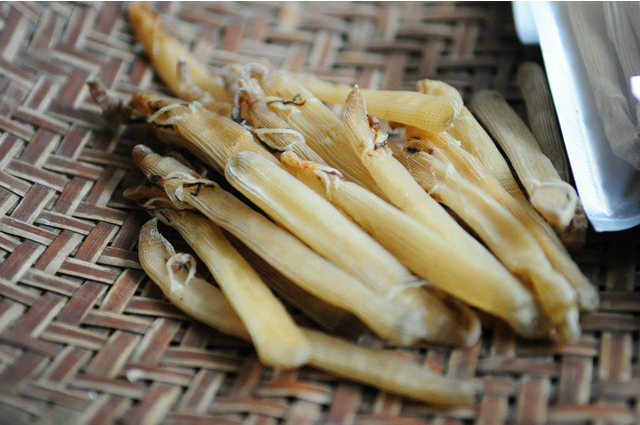 沙虫干除了煲汤还能怎么吃,不一样的小儿沙虫干煲汤