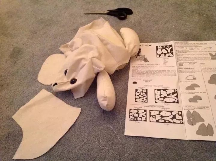 坎贝尔泰迪熊,坎贝尔金丝熊