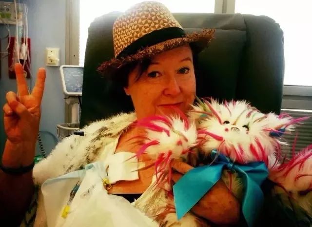 坎贝尔泰迪熊,坎贝尔金丝熊