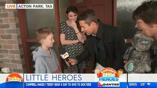 坎贝尔泰迪熊,坎贝尔金丝熊