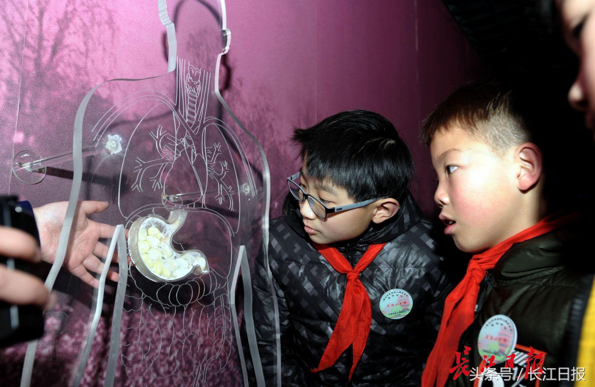 武汉杨泗港双层公路悬索大桥,武汉第一座斜拉桥