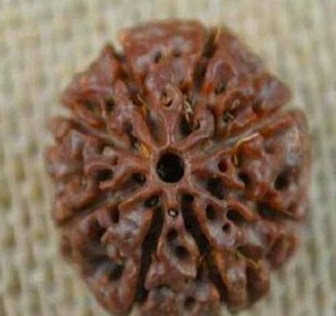 玩金刚必须知道什么,玩金刚应该关注的几个问题