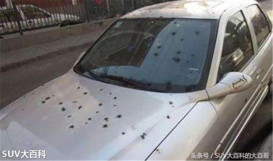 爆竹声声辞旧烟花满天迎新春,爆竹声声辞旧岁礼花漫天迎新春