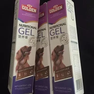 狗狗怀孕期关注事项有哪些,狗狗怀孕时应该关注些什么