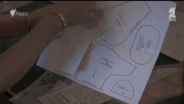 坎贝尔泰迪熊,坎贝尔金丝熊