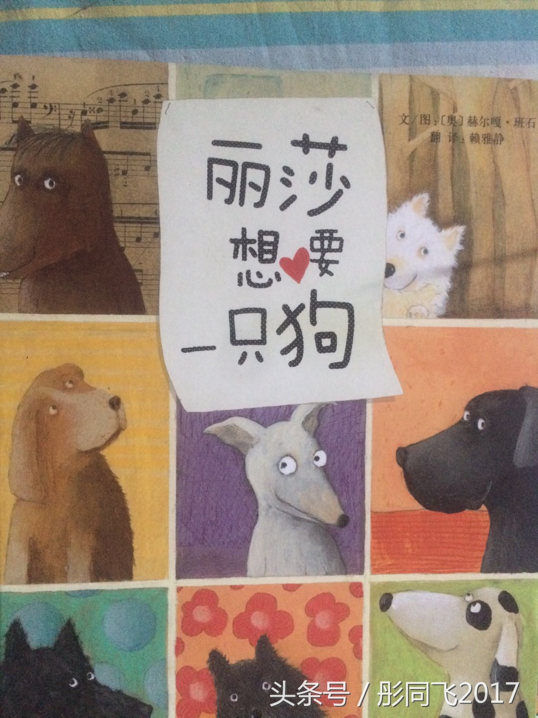 乌鲁木齐周边暑假遛娃好去处攻略,乌鲁木齐春节遛娃攻略