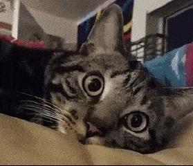 蹲厕所玩手机超过20分钟,男性久蹲厕所玩手机