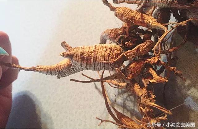 中国海关允许带多少钱物品入境,中国海关禁带物品清单