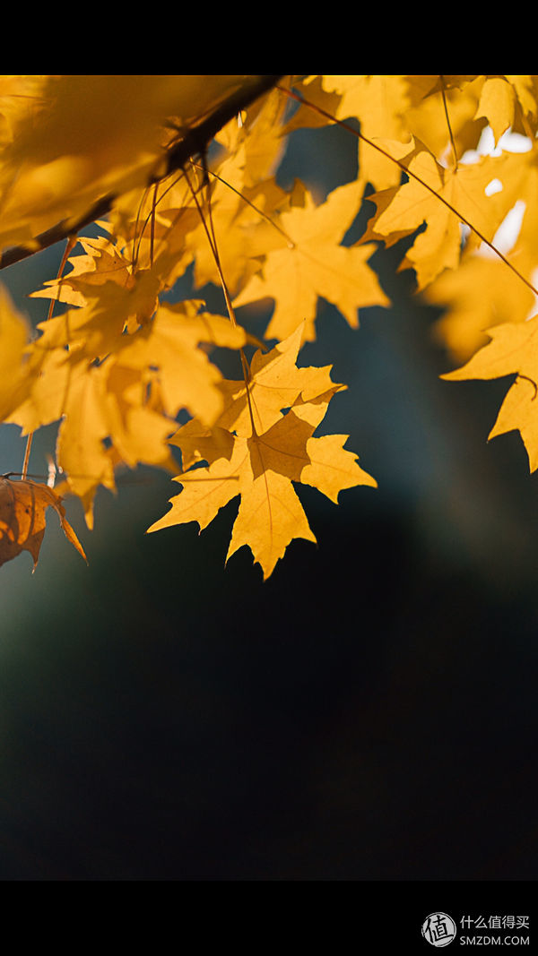 带着相机旅行记,带相机旅行记录