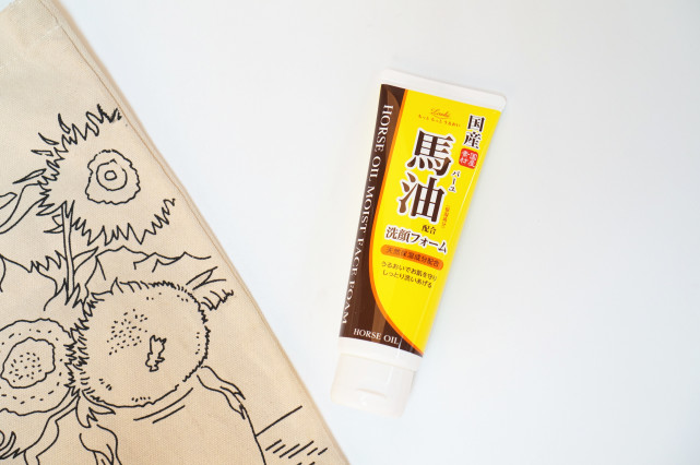 关西自由行雷区 (大阪3日购物自由行攻略)