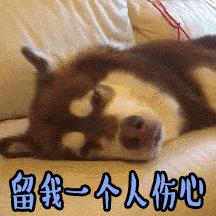 冬天快速软化黄油的小窍门,软化黄油的最快方法烤箱