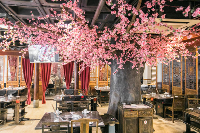 上海人均60的火锅,上海发财火锅